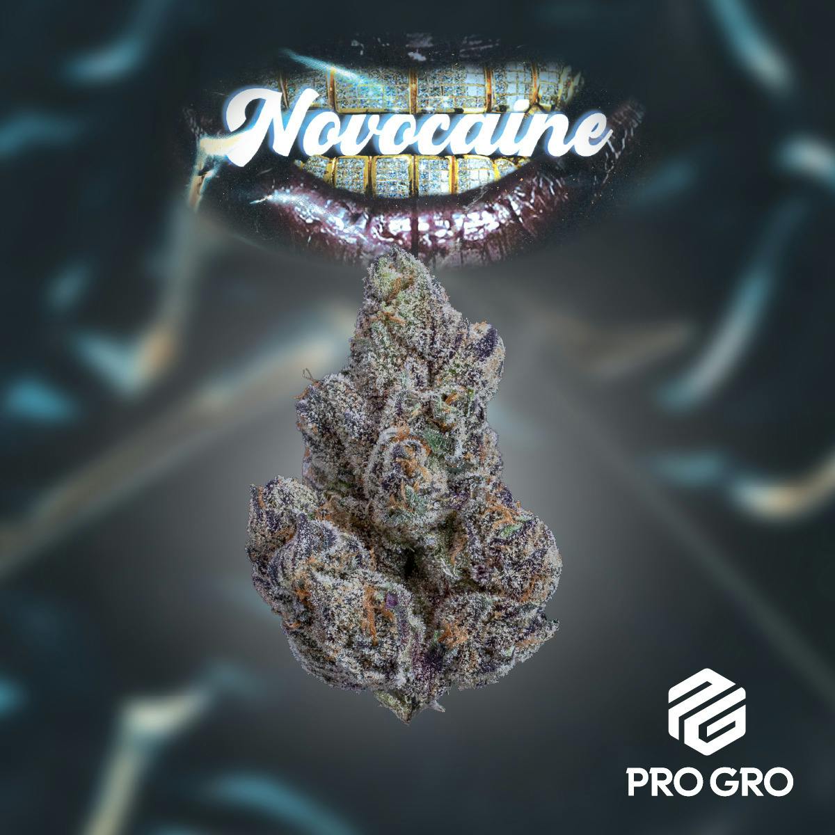 Novocaine | Deli