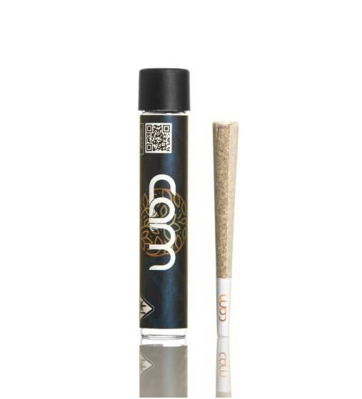CAM- Sugar Cane Preroll 1g (H)