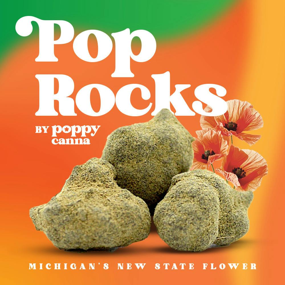 Poppy Canna | Moon Rocks | Mango Tango