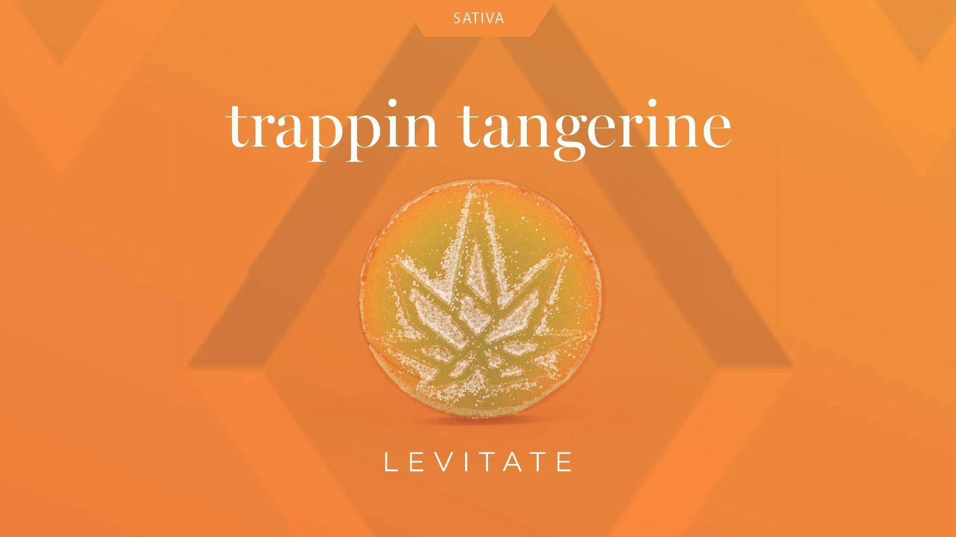 Levitate | 200mg Single Slugger Gummie | Trappin Tangerine