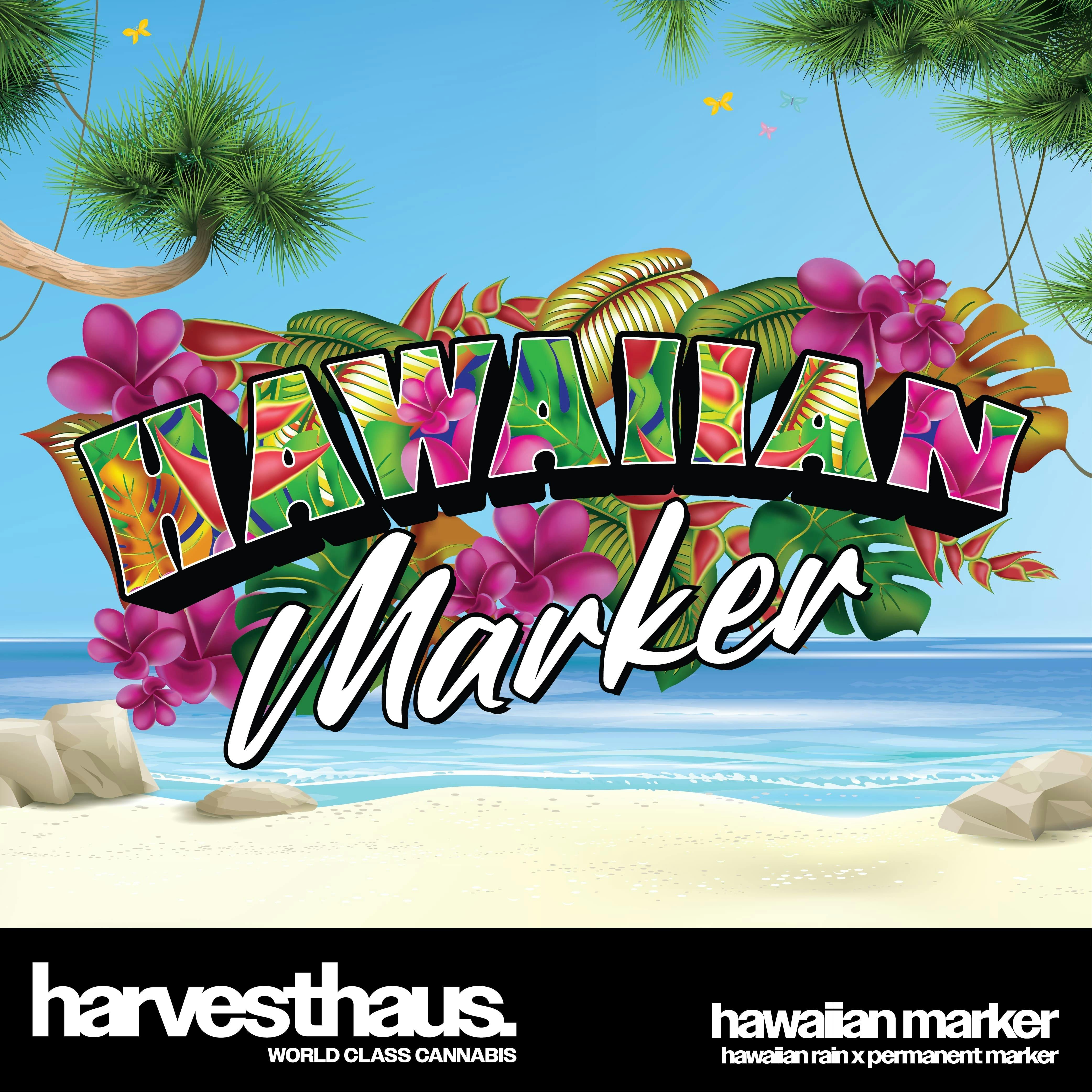 Harvesthaus | Versace T2