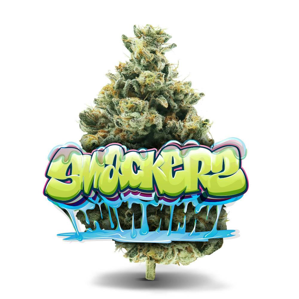 Smackerz - 1/8 oz Premium Flower