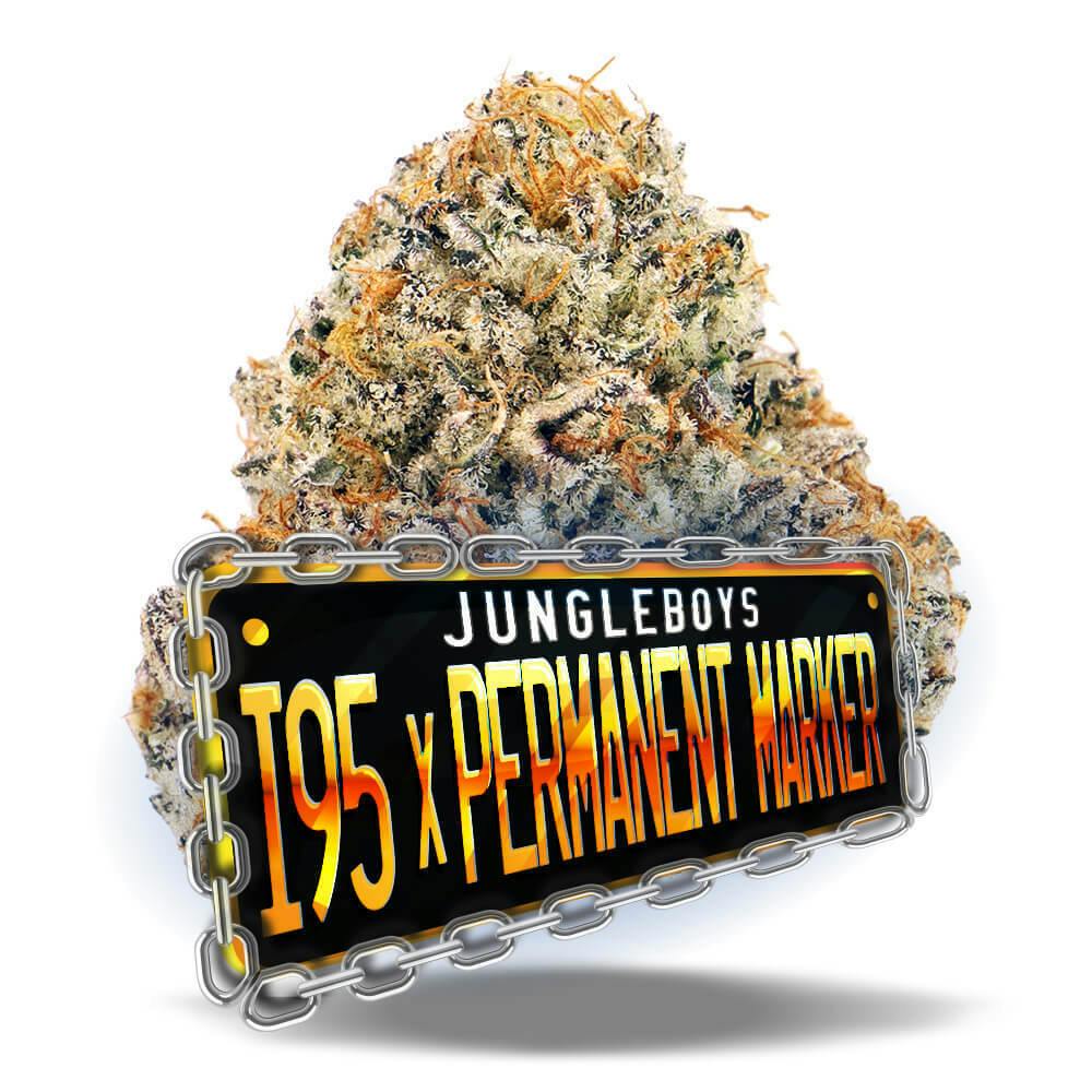 I-95 x Permanent Marker - 1/8 oz Premium Flower
