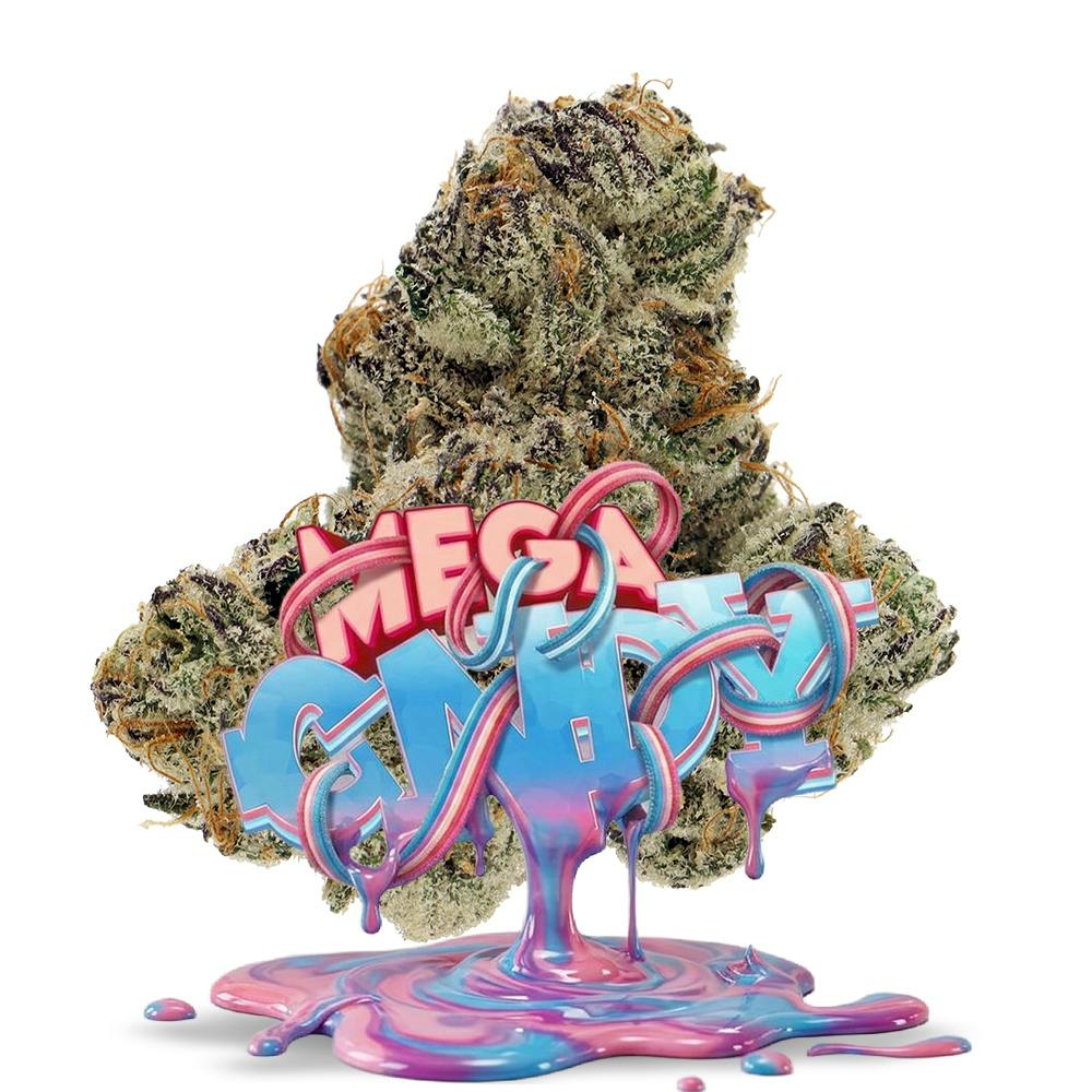 Mega Cndy - 1/8 oz Premium Flower