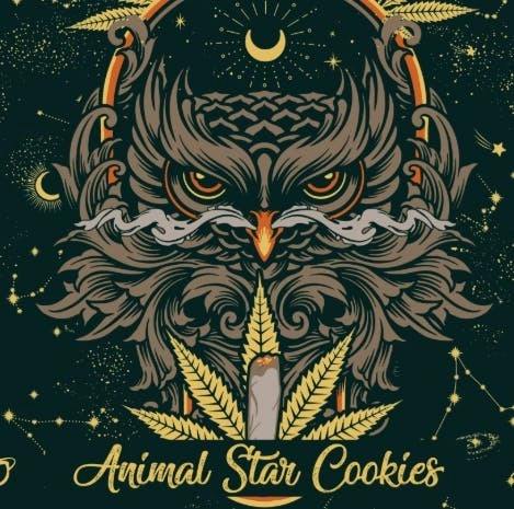 ANIMAL STAR COOKIES | 28G