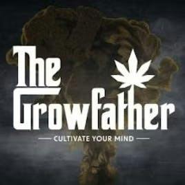 ACAPULCO GOLD | INFUSED | PRE GROUND | 3.5G