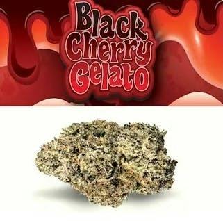 BLACK CHERRY GELATO | 3.5G