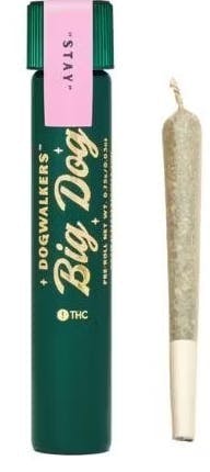 FANTASY MELONZ | 1G | 1PK cannabis product