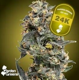 24K | MIXED BUDS | 14G