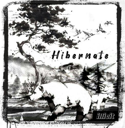 HIBERNATE | 3.5G