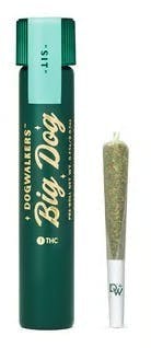 BROWNIE SCOUT BIG DOG | 1G | 1PK