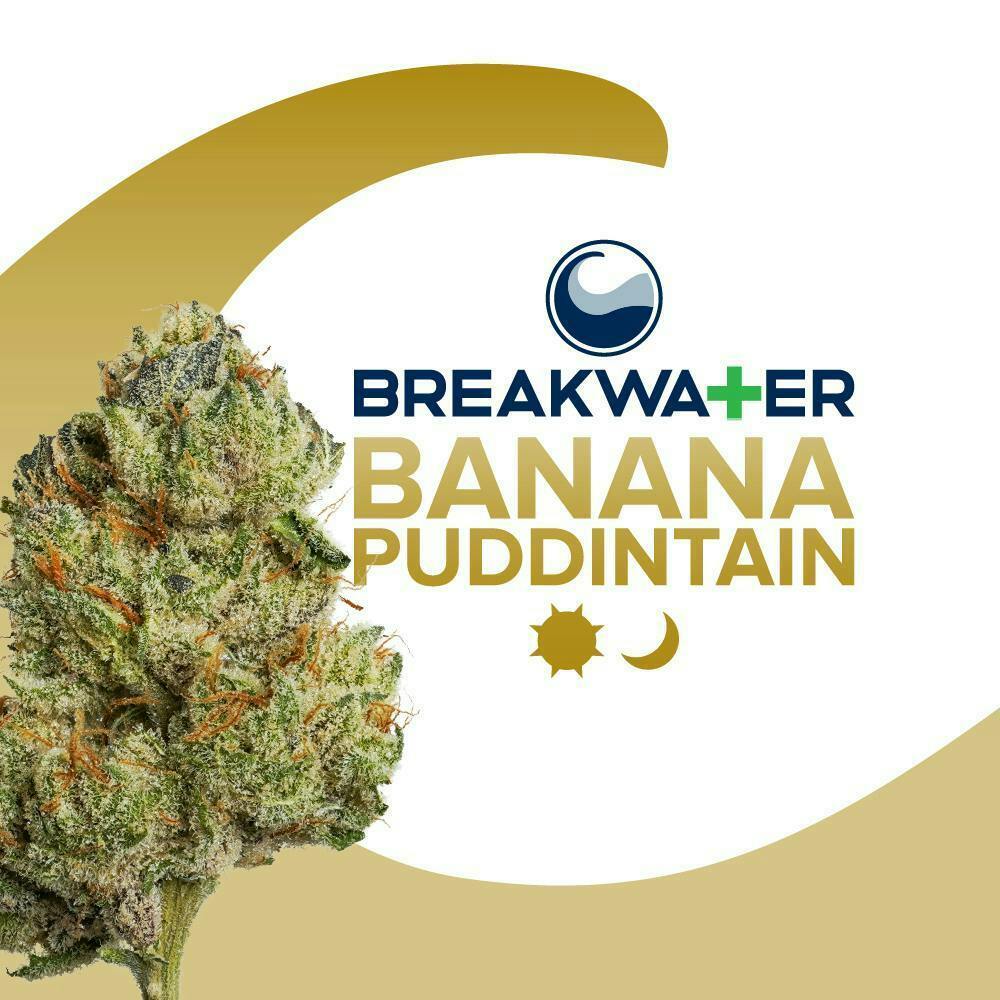 BANANA PUDDINTAIN | 3.5G
