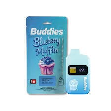 Buddies: Lime Sorbet