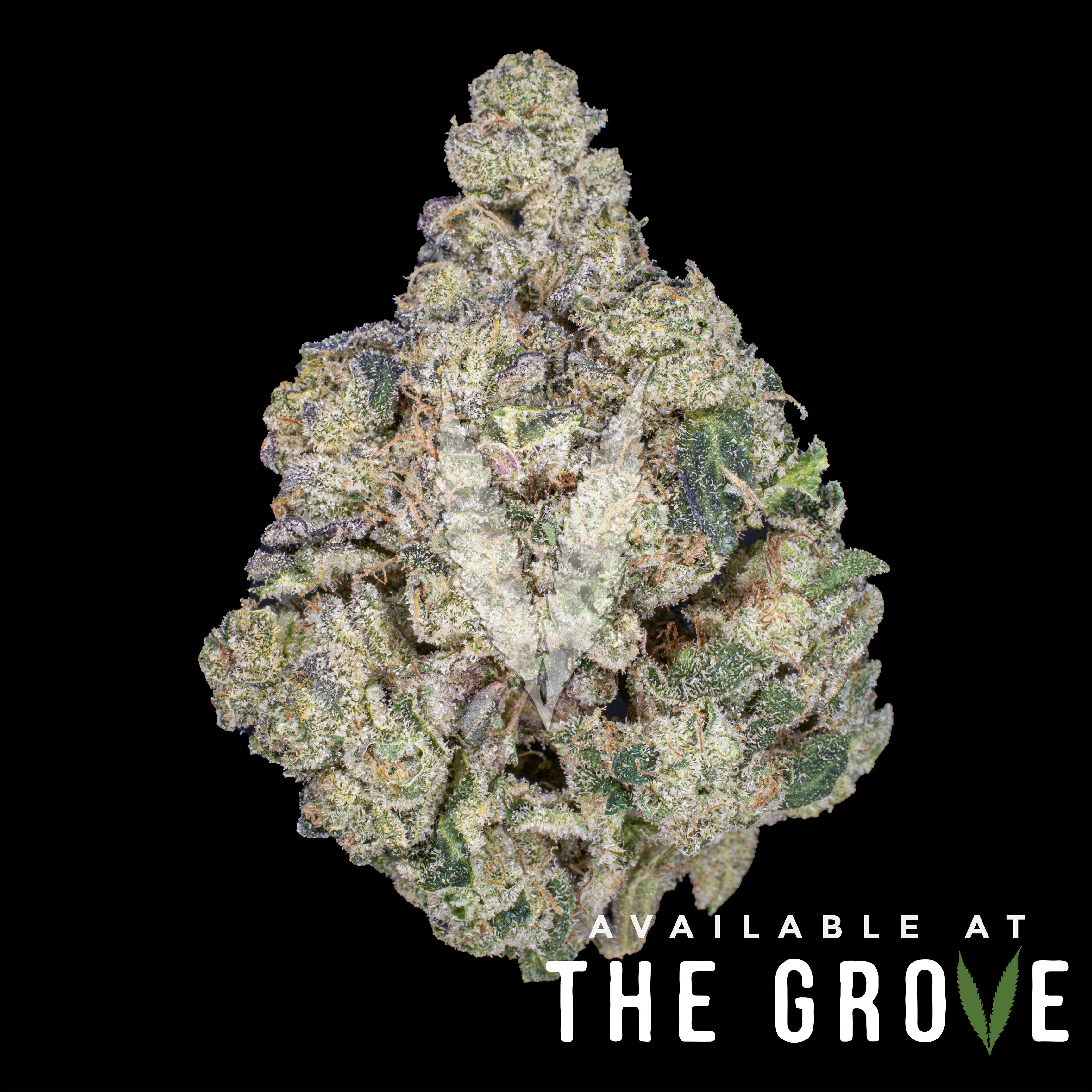 Pearl Pharma: Sour Cheese