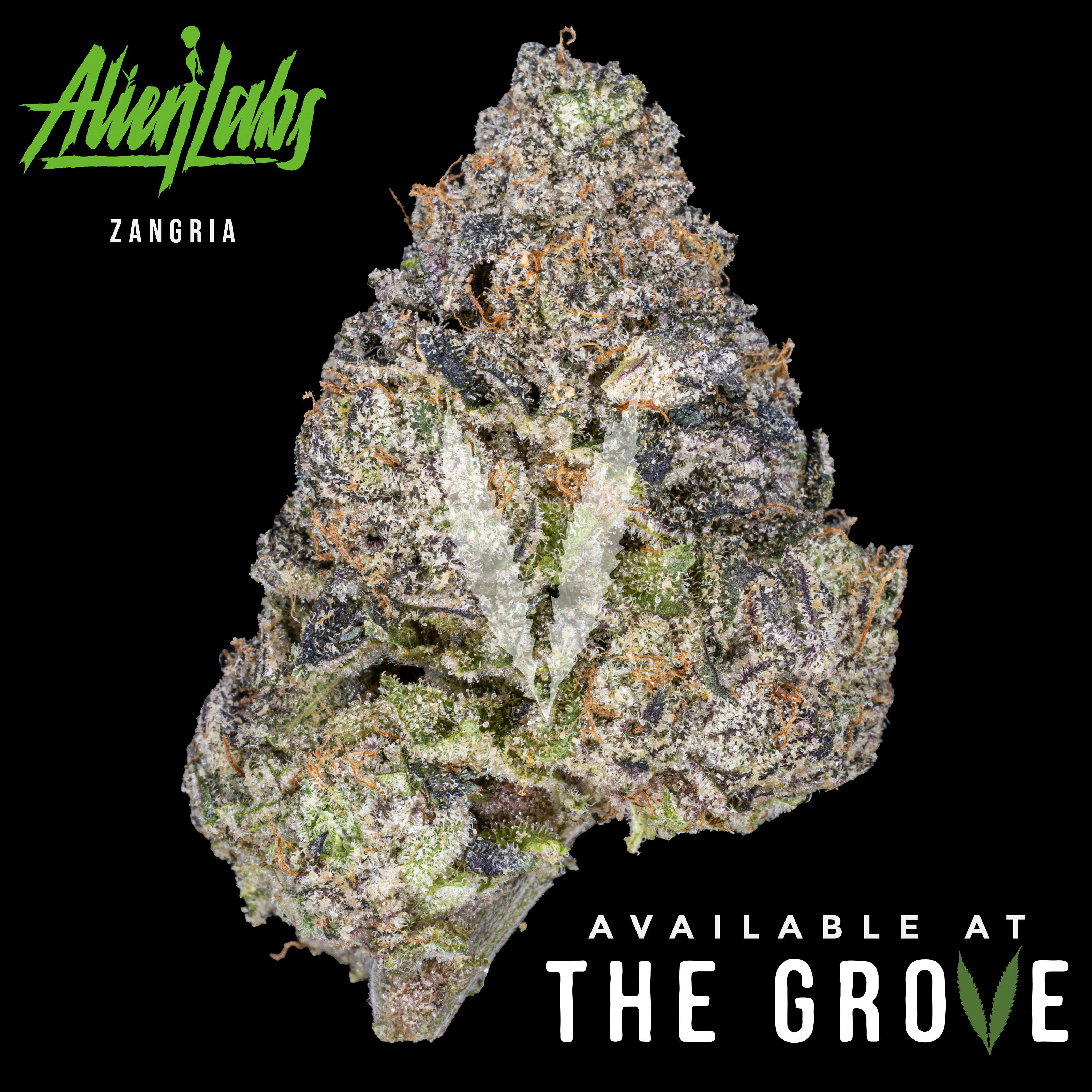 Alien Labs — Zangria