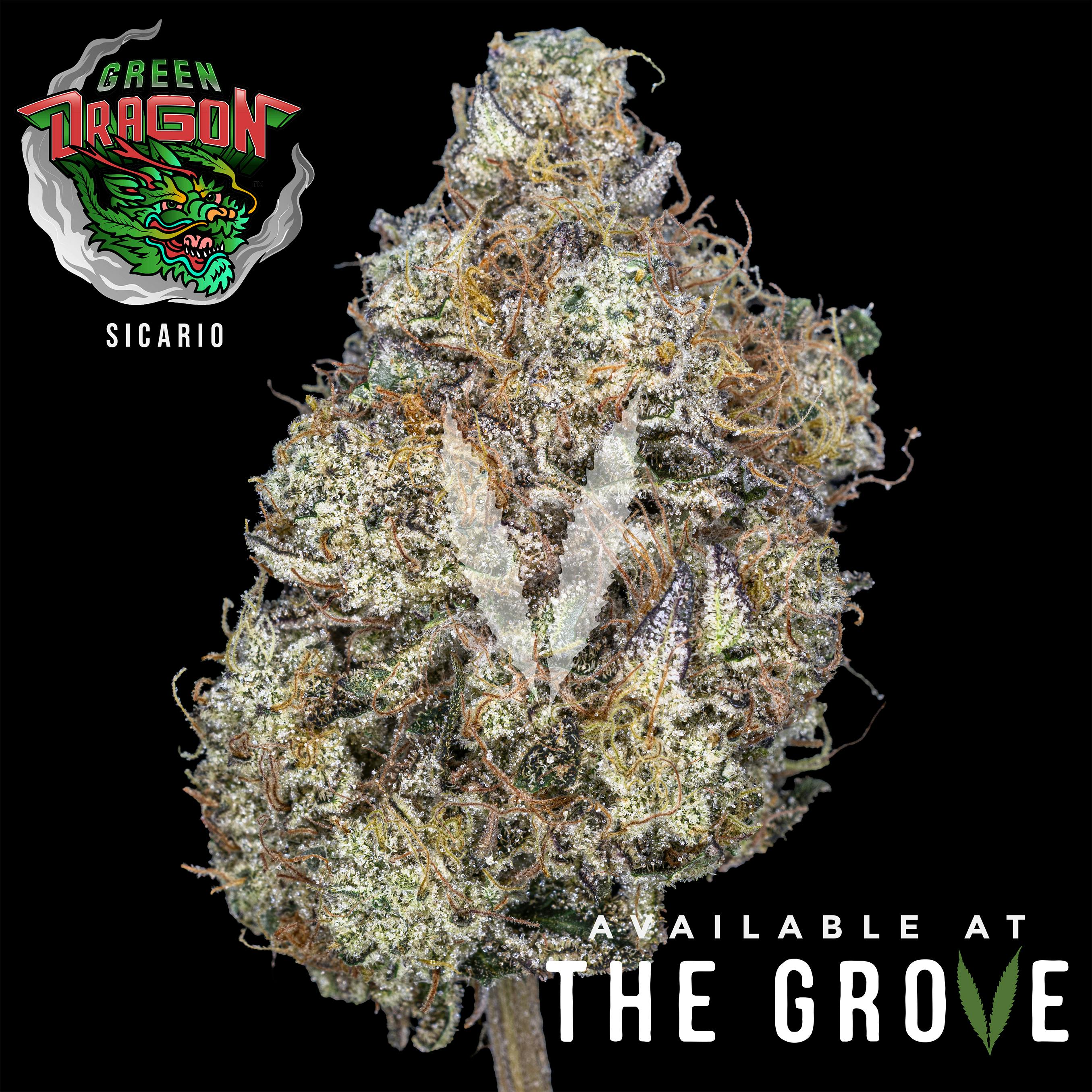 Green Dragon — Sicario