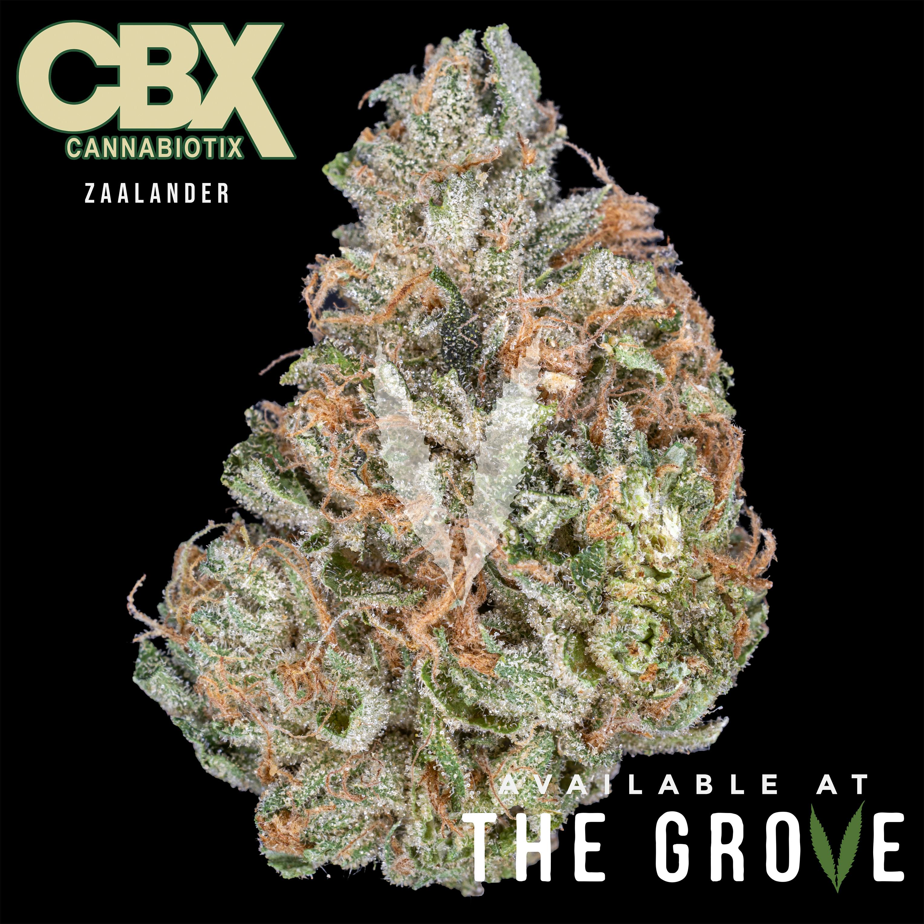 CBX: Zaalander 1/8th