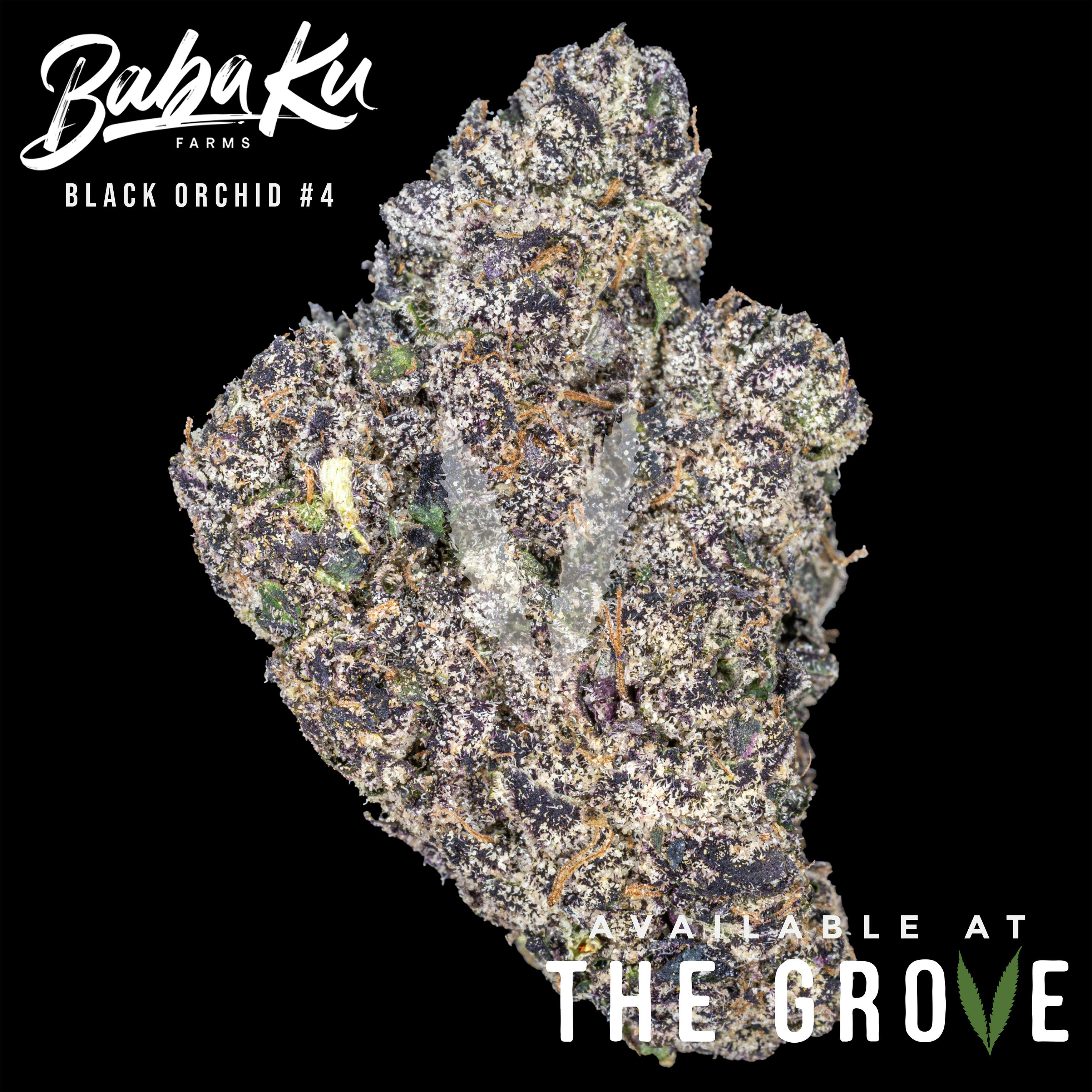 Baba Ku Farms | Black Orchard #4 1/8th
