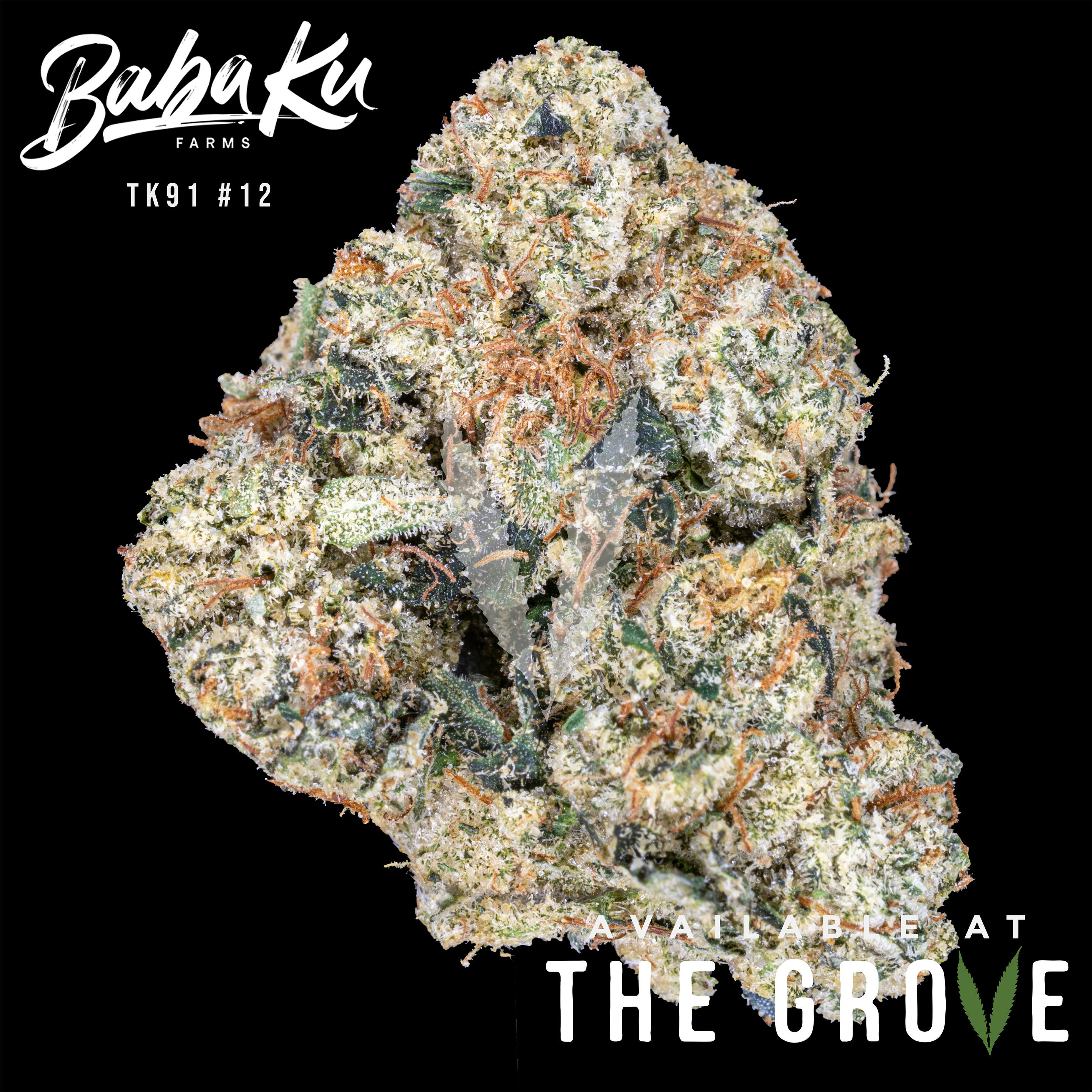 Baba Ku Farms | TK91 #12 | Big Buds
