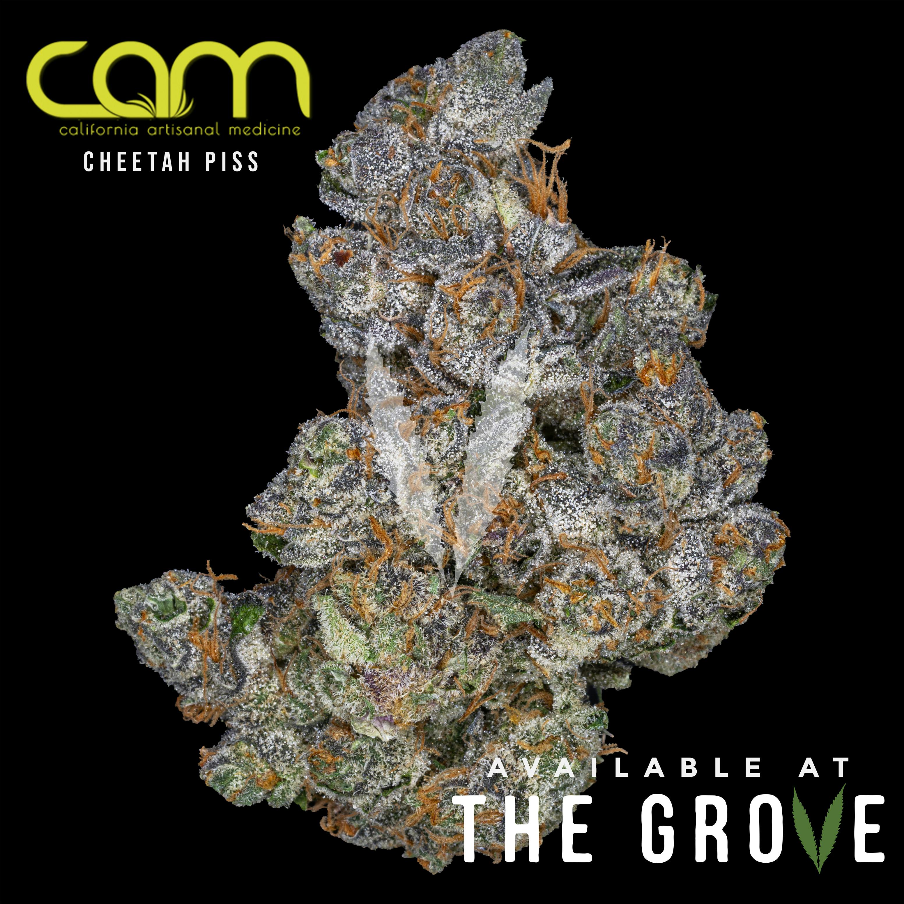 CAM | Cheetah Piss 1/2oz Flower