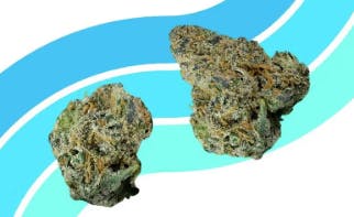 Find. | "Nuclear Muffin" | Flower | 3.5g