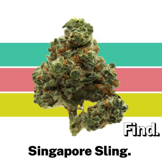 Find. | "Singapore Sling" | Flower | 3.5g