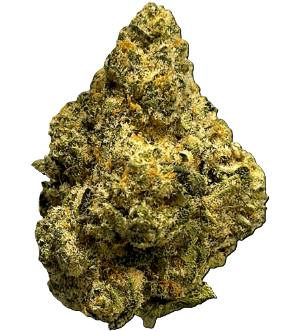 Apollo | "Scotties Cake" | Flower | 3.5g