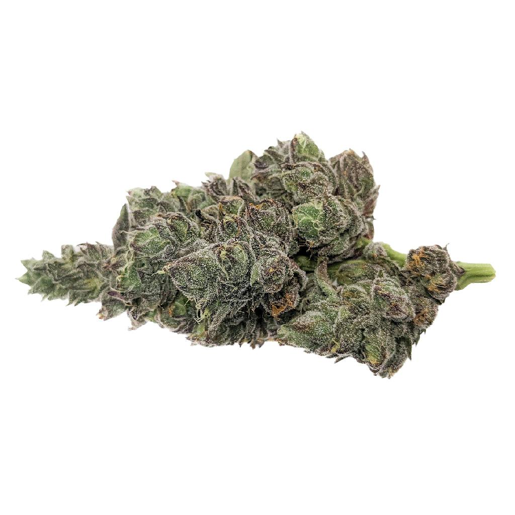MSIKU - Gelatto 33 x Tropicana Cookies - Indica - 3.5g