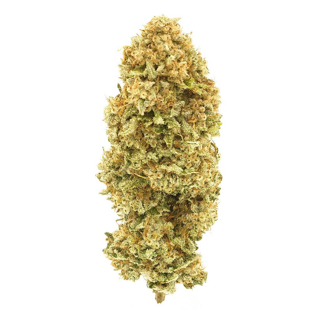 1964 - Organic Cherry AK - Hybrid - 14g