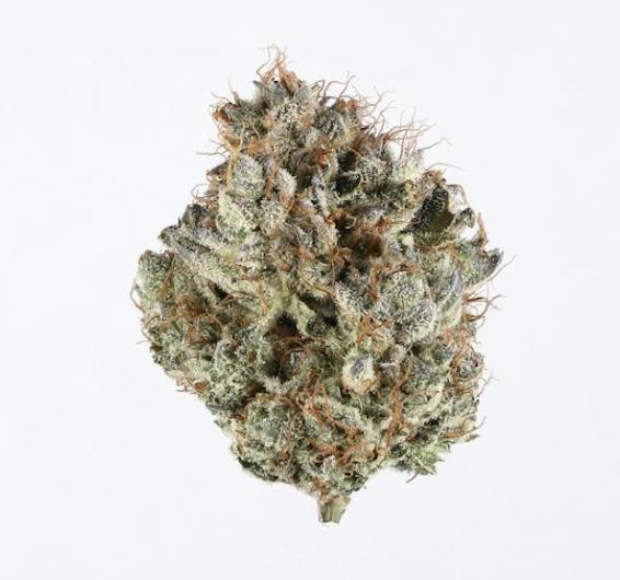 Pablos Revenge 7g - Blackwater Reserve - 21.3% Hybrid