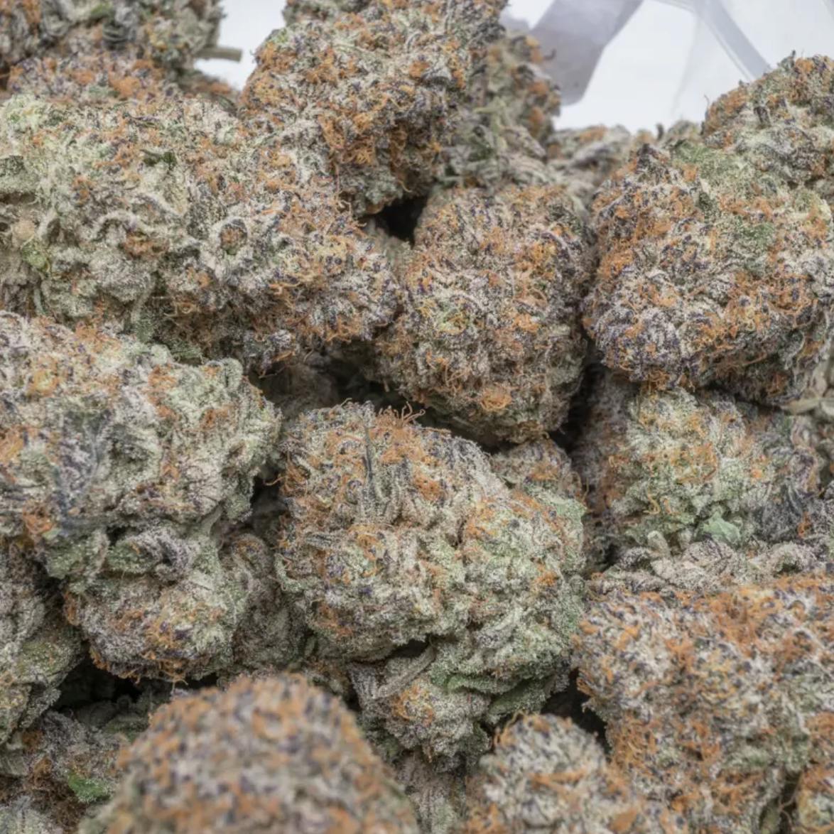 Gelato Cake - 3.5g by Southern Grown Therapeutics