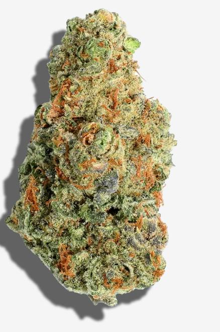 Animal Mintz Cookies 3.5g - New Altitude - 25.7% - Indica