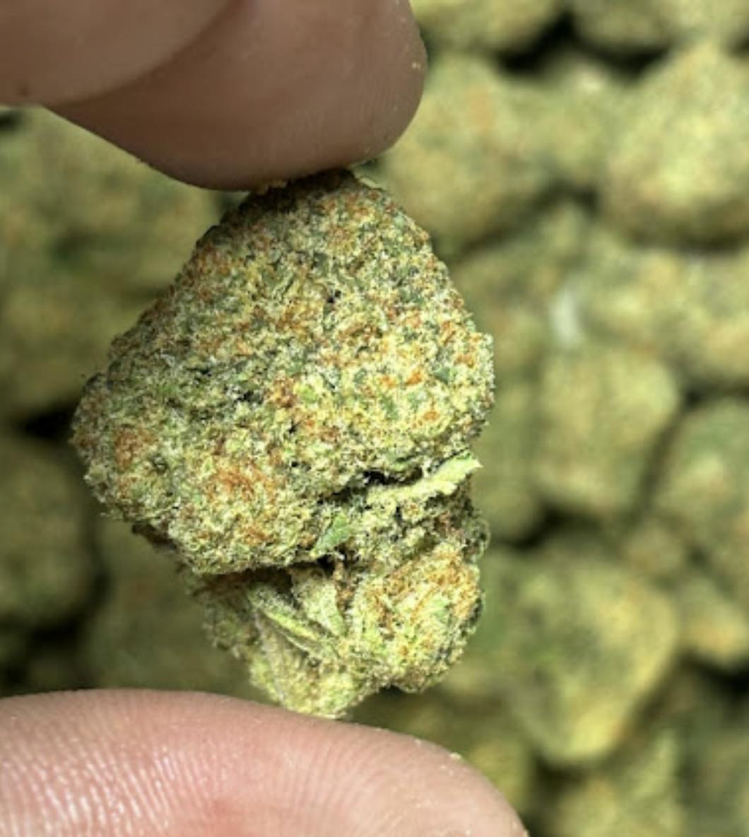 Illemonatti 3.5g - Flayvur - Sativa Hybrid at AllsWell Brands, LLC