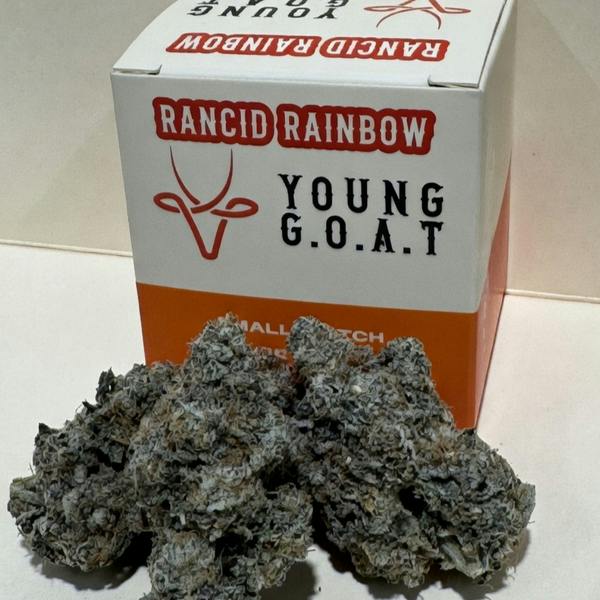 Rancid Rainbow Young Goat