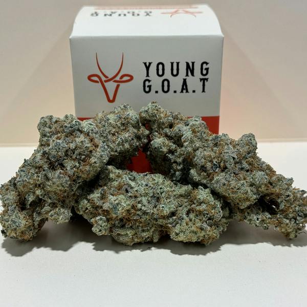 Pablo's Pineapple 3.5g - Young Goat - 27.3% - Sativa/Hybrid