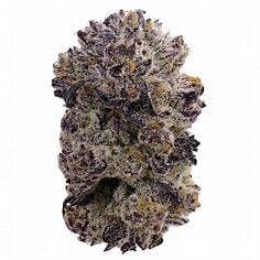 Cereoz 3.5g - Black Water Reserve - 29.5% - Hybrid