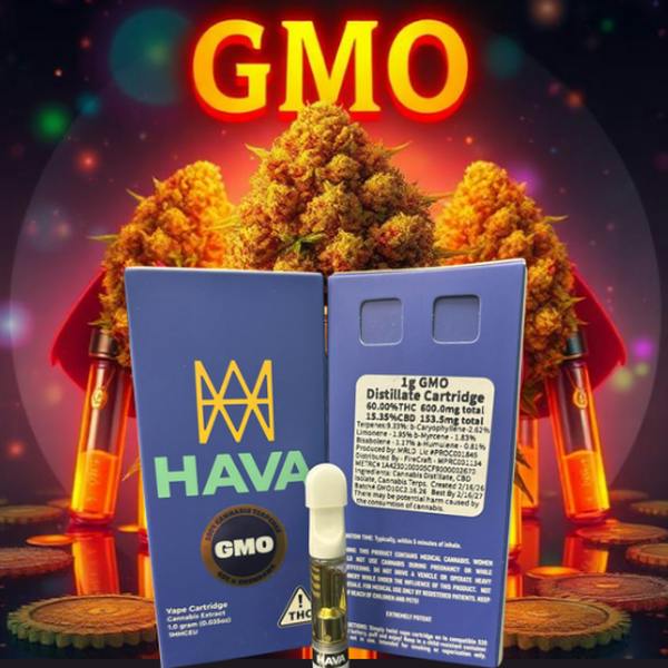 Gmo Hava