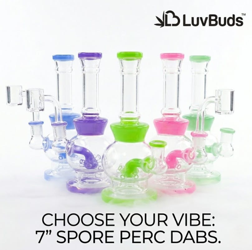 7 Spore Perc W