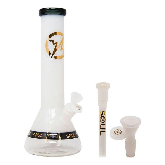 Reborn Series 12 Inches Beaker Bong - Pink
