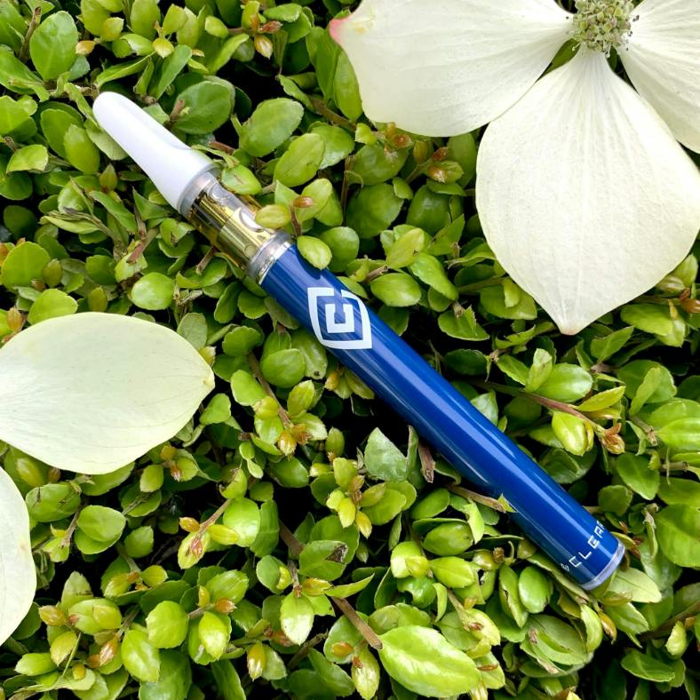 SUPER LEMON HAZE DISPOSABLE PEN
