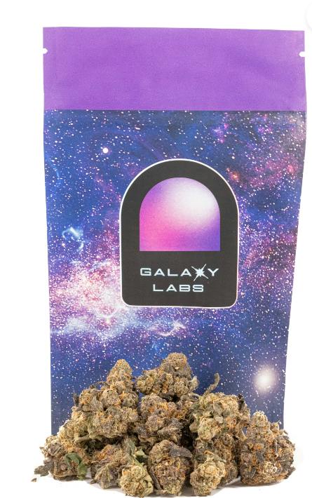 Guava Bars