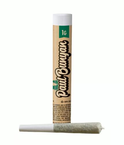CHAMPTION CITY CHOCOLATE PRE ROLL