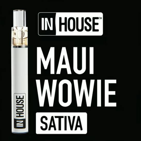MAUI WOWIE DISPOSABLE PEN