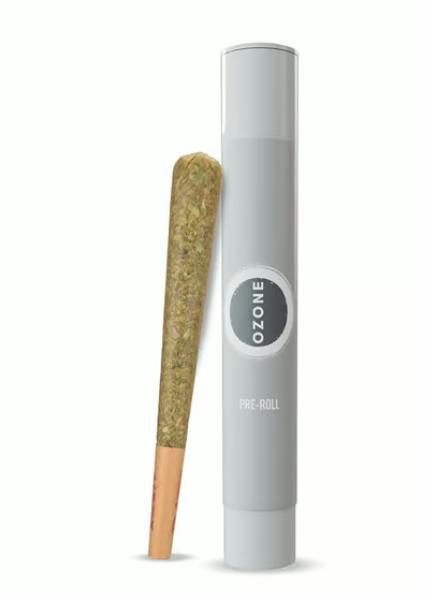 GLITTER BOMB PREROLL
