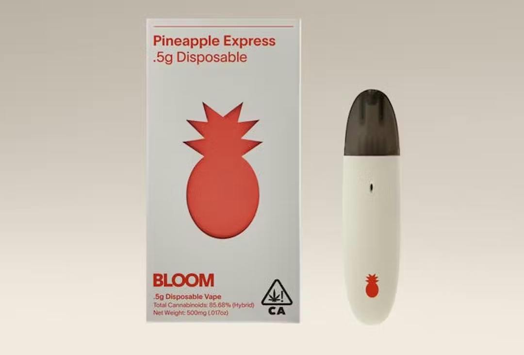 Pineapple Express Surf