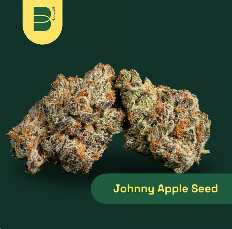 JOHNNY APPLE SEED FLOWER