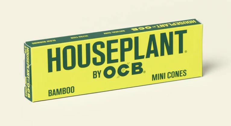 HOUSEPLANT BAMBOO CONES 6PK