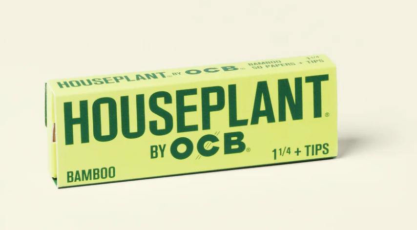 HOUSEPLANT BAMBOO PAPERS + TIPS