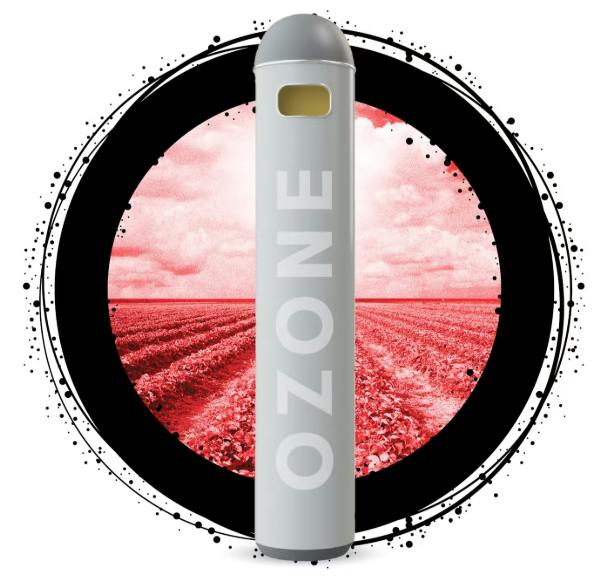 STRAWBERRY FIELDS DISPOSABLE VAPE