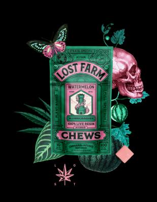 WATERMELON LIVE RESIN FRUIT CHEWS 10PK